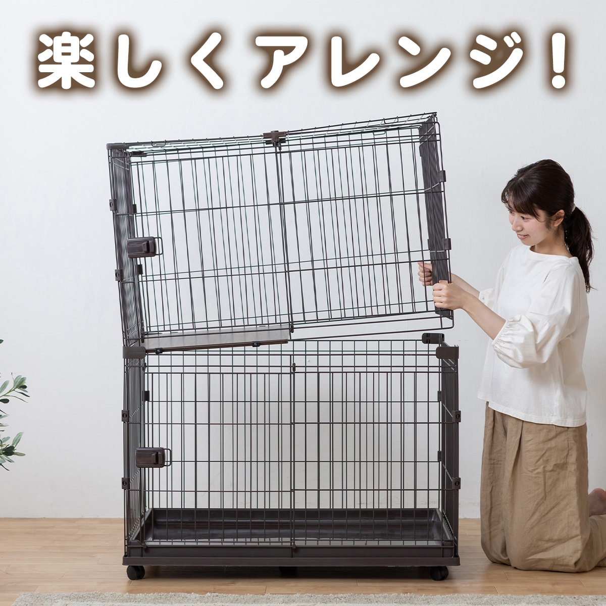 �R���r�l�[�V�����T�[�N��