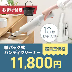 ʌ肨܂t nfBN[i[ڋʉi11800~