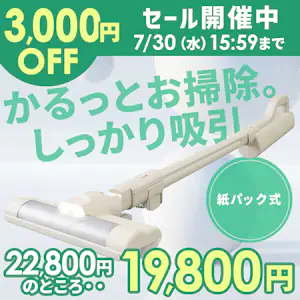 3000~OFF |@ }WJ[i 