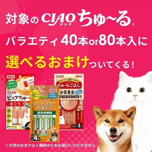 ���Ȃ� �Ώۂ̂���`�� �o���G�e�B40�{or80�{����ɑI�ׂ邨�܂����Ă���I