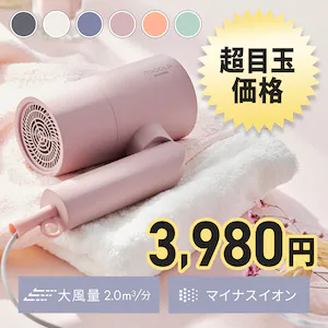 イオンドライヤー スタンダードモデル 超目玉価格 3,980円