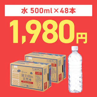 48{1980