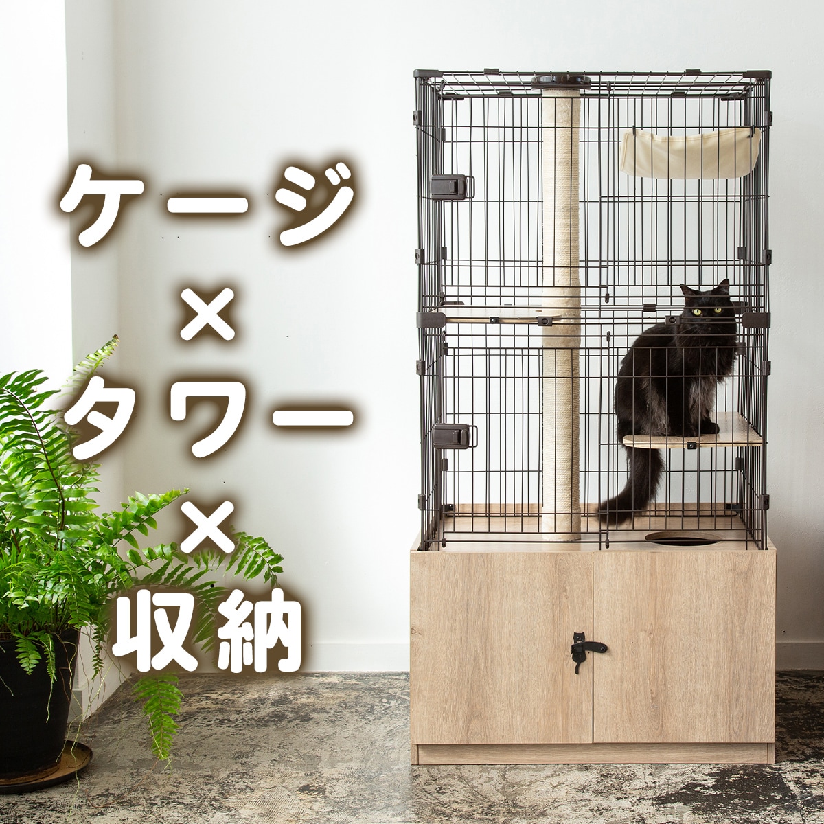 �L���b�g�����h�P�[�W