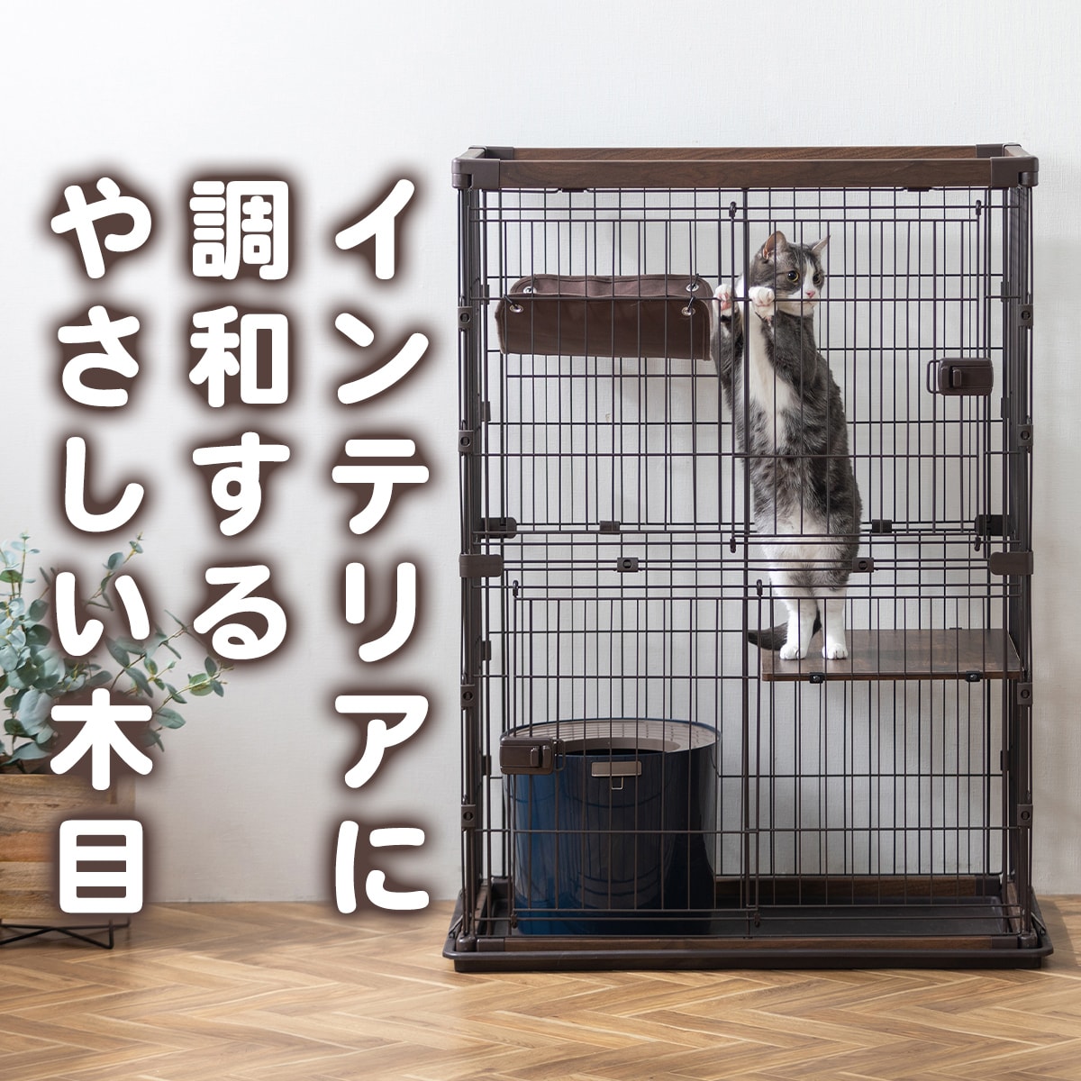 �E�b�f�B�L���b�g�P�[�W