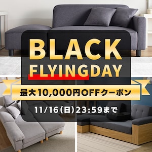 \t@BLACKFLYINGDAYő10000~OFFN[|I