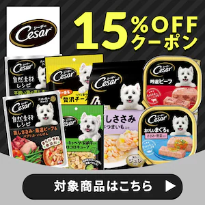 シーザー 15%OFFクーポン
