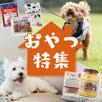 おやつ特集