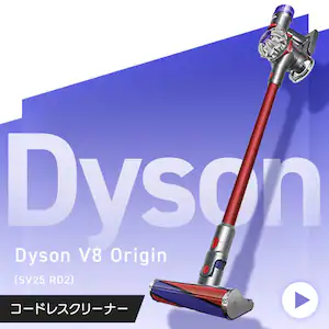 dyson SV25 RD2 V8 Origin