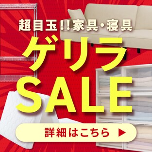 ڋʁIƋEQ QSALE ڍׂ͂