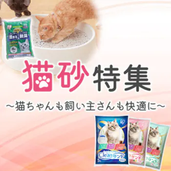 猫砂特集