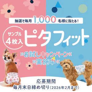 抽選で毎月1,000名様に当たる ピタフィットサンプルお試しキャンペーン