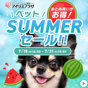 ybgSUMMERZ[