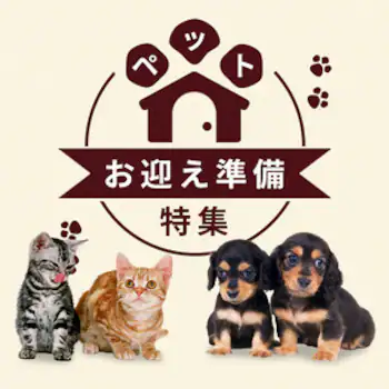 ペットお迎え準備特集