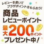 ���r���[�|�C���g