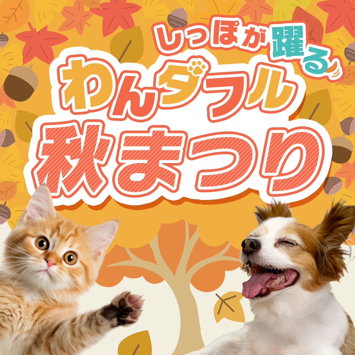 ４kgヒルズ猫cd尿ケアマルチコンフォート療法食猫用 4個セット】 ヒルズ 特別療法食 猫用 尿ケア c/d マルチケア 4kg