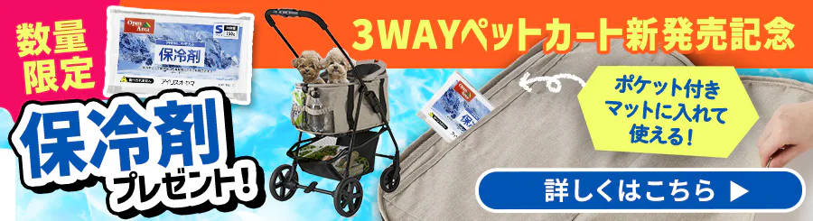 3WAYybgJ[gۗ܃v[gLy[