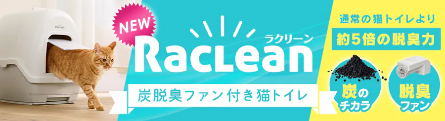 �摜�̐���