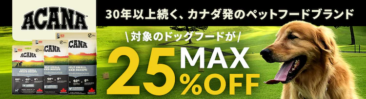 ACANAΏۂ̃hbNt[hMAX25%OFF