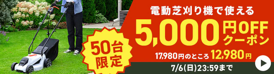 50!dŊ@Ŏg5000~OFFN[|17980~̂Ƃ12980~