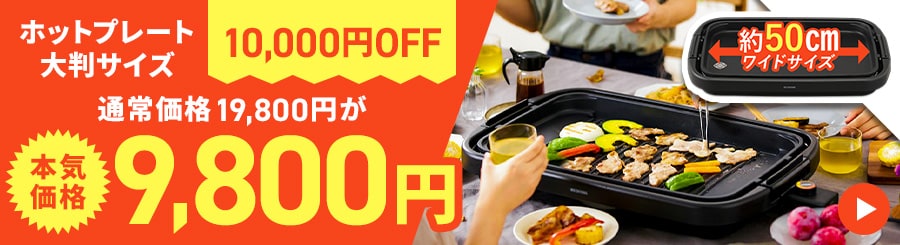 平面プレート≪ 網焼き風ホットプレートAPA-136/ APA-137/ APK-137