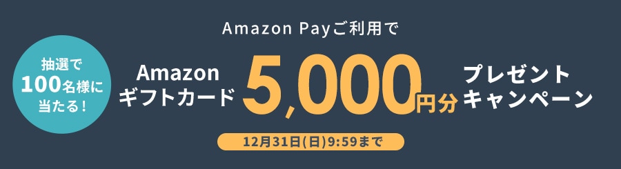 Amazon payバナー