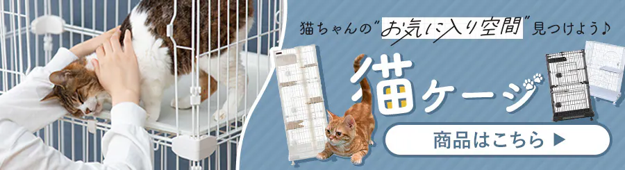 L̂CɓԂ悤
