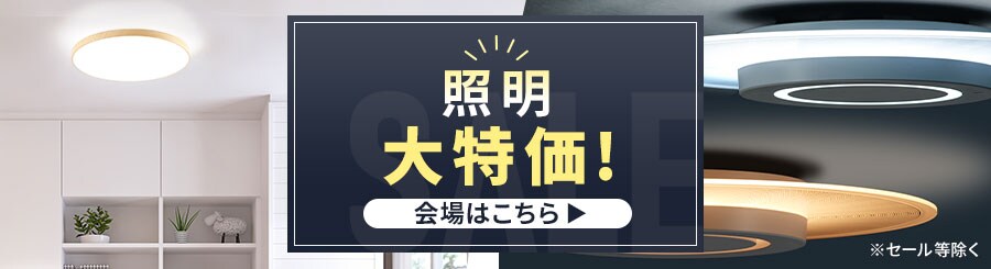 Ɩ