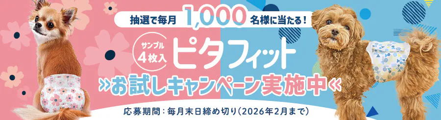 IŖ1000lɓ@Tv4s^tBbgLy[{@Ԗߐ؂ 2026N2܂
