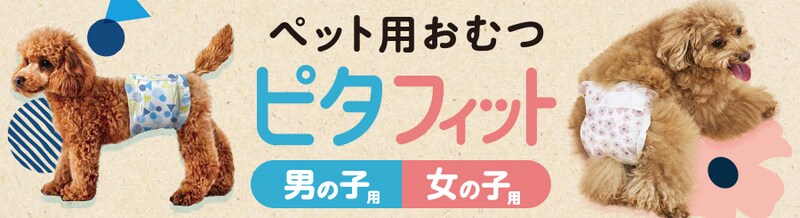 ybgV[c