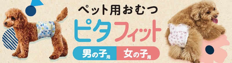 ybgV[c