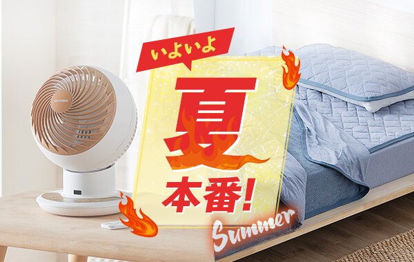 夏物特集