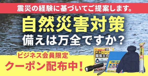 rWlX䕗΍