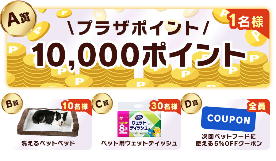 A賞プラザポイント10,000ポイント B賞洗えるペットベッド C賞ペット用ウェットティッシュ D賞次回ペットフードに使える5%OFFクーポン