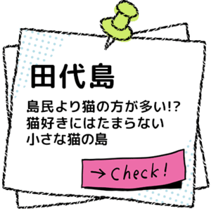 �c�㓇 ���O