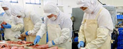 ������Ѝ����C�Y