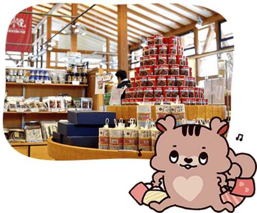 2F �V�[�t�[�h�R�[�g�u���C�H���v�V�[���ʐ^