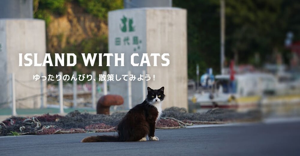 �c�㓇 �V�[���ʐ^