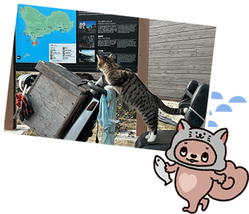 ���C������