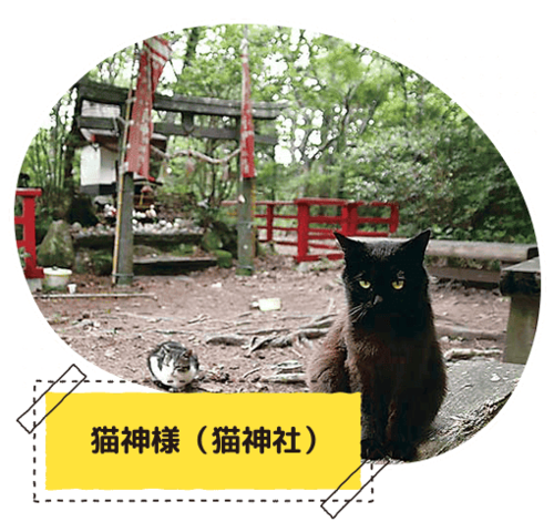 �L�_�l�i�L�_�Ёj