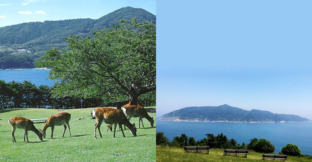 ���؎R �V�[���ʐ^