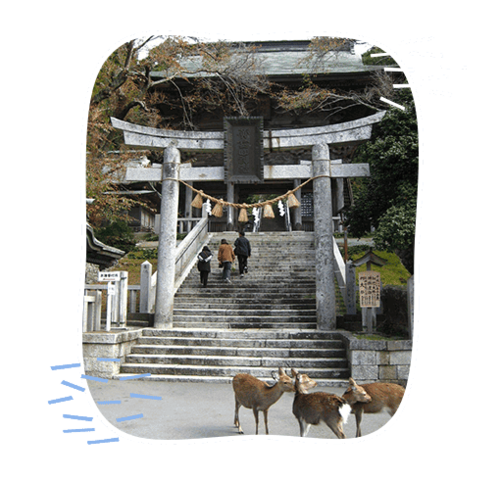 ���؎R�����R�_�� �V�[���ʐ^