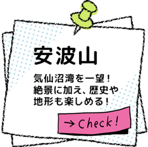 ���g�R ���O