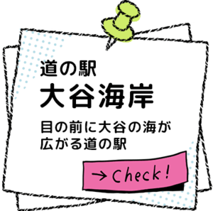 ��J�C�� ���O