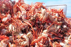 ������ЃJ�l�_�C