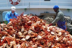 ������ЃJ�l�_�C