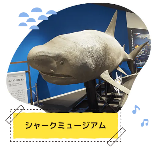 �V���[�N�~���[�W�A��