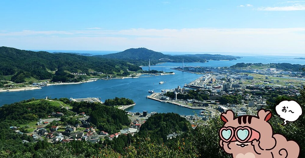 ���g�R �V�[���ʐ^