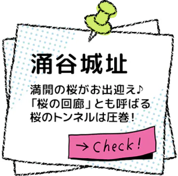 �O�J�隬 ���O