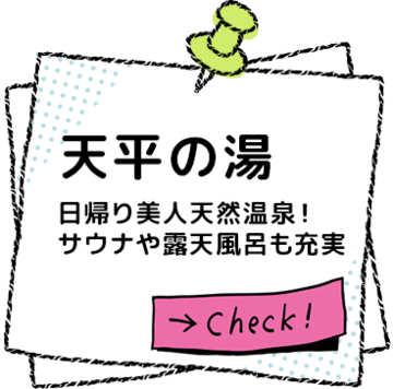 �V���̓� ���O