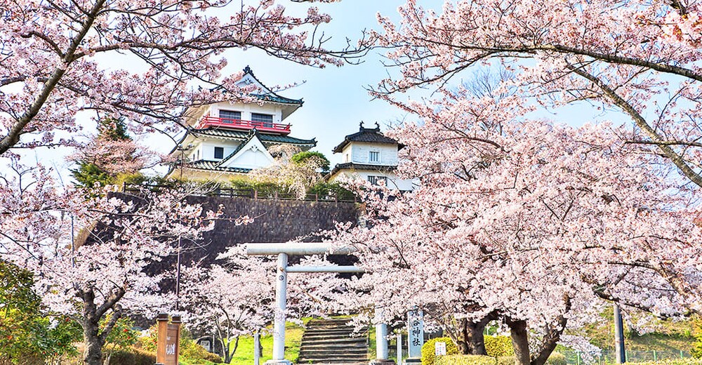 �O�J�隬 �V�[���ʐ^